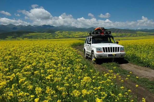 Why do so many people travel by road instead of flying? The traveler gave a very pertinent answer!