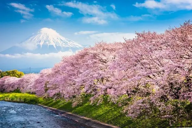 In Japan, you have to take off your shoes when entering a house. Some people have smelly feet. Isn’t it embarrassing for those present?