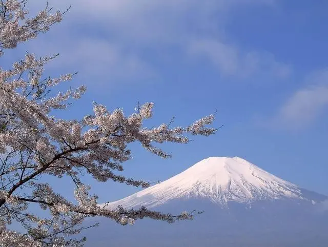 Is Mount Fuji Privately Owned? The Japanese government also pays huge rent every year!