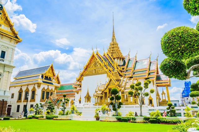 Thailand’s “Woman tree” is a magical tree that no one dares to eat. Is it a rumor